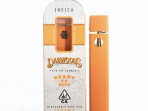 Dabwoods Disposable 2G Biscotti